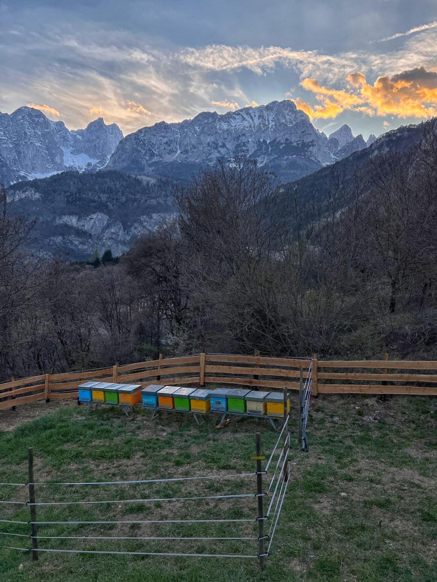 Agriturismo Ai Castioni Villa Molveno Exterior photo